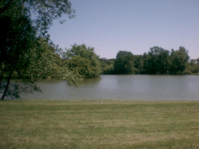 Pond Across Street